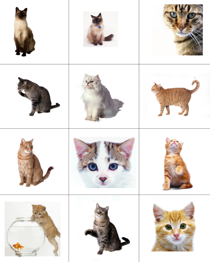 Make a fun Toddler Cat book – Simple activities with your Toddlers!
