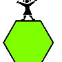 shape