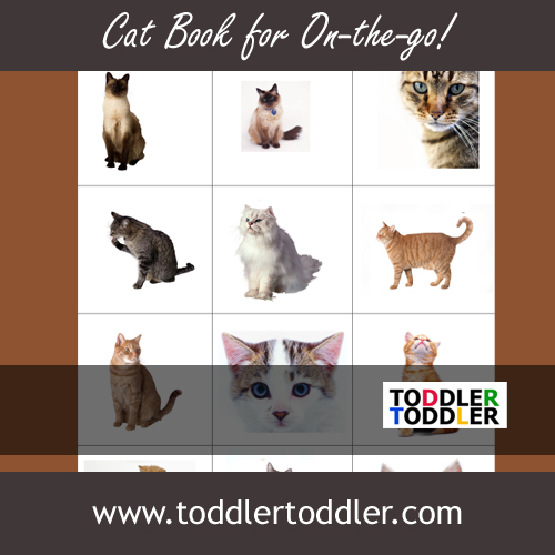Toddlers, Activities, Games (www.toddlertoddler.com) :Make a cat book for on -the-go!