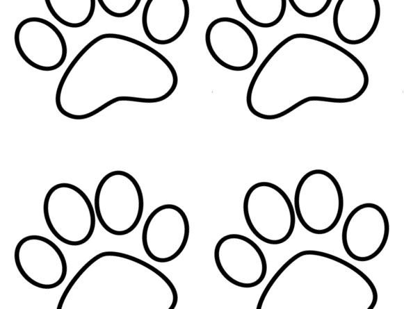 toddler activity paw prints
